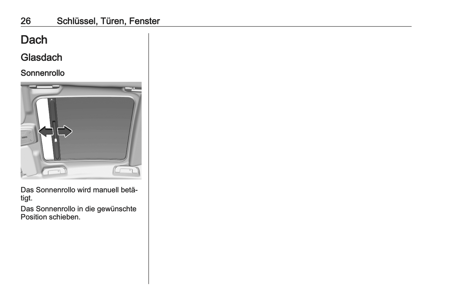 2020-2021 Opel Corsa/Corsa-e Owner's Manual | German