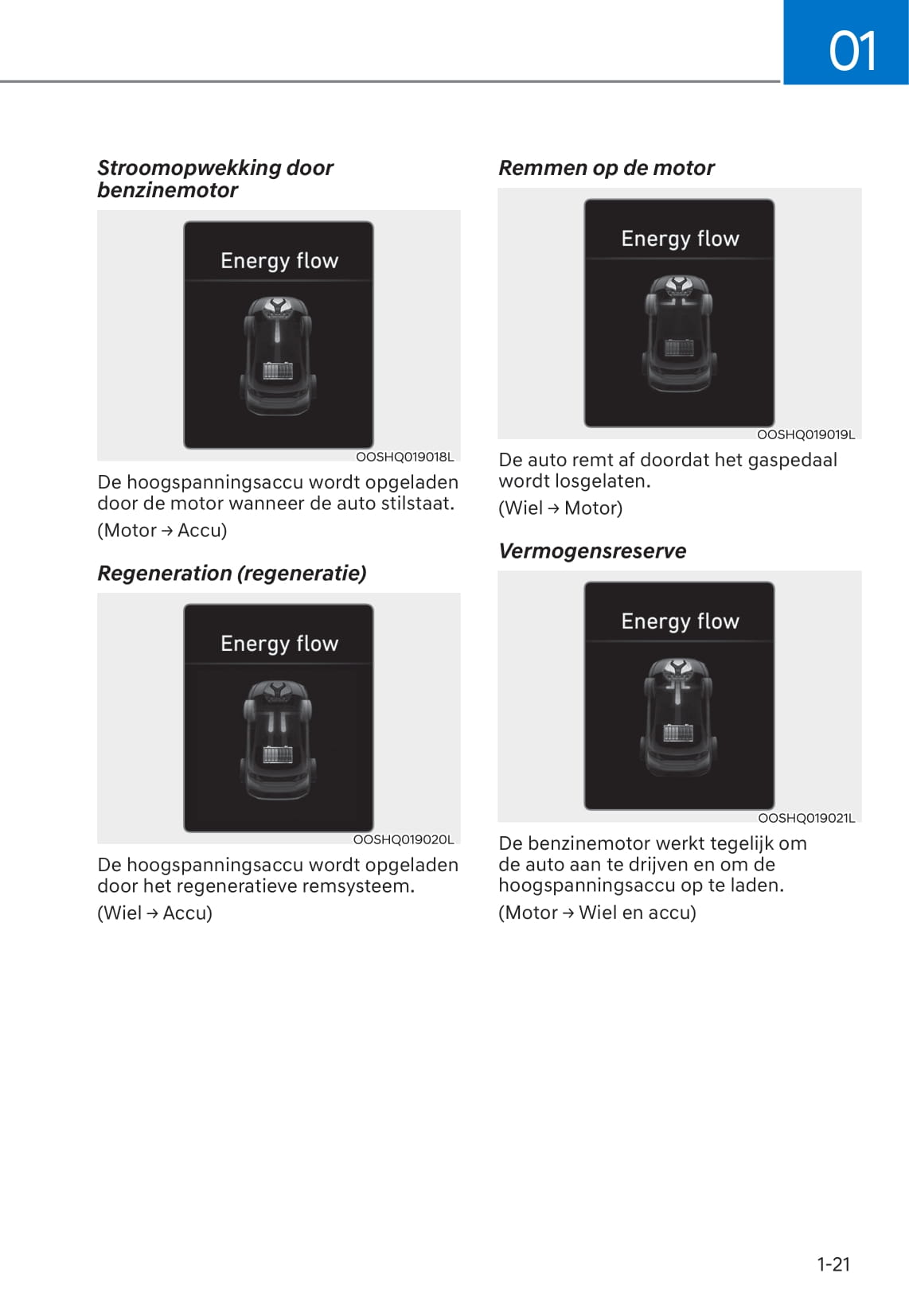 2019-2020 Hyundai Kona Manuel du propriétaire | Néerlandais