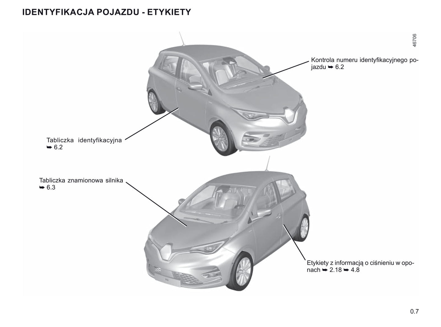 2019-2020 Renault Zoe Manuel du propriétaire | Polonais