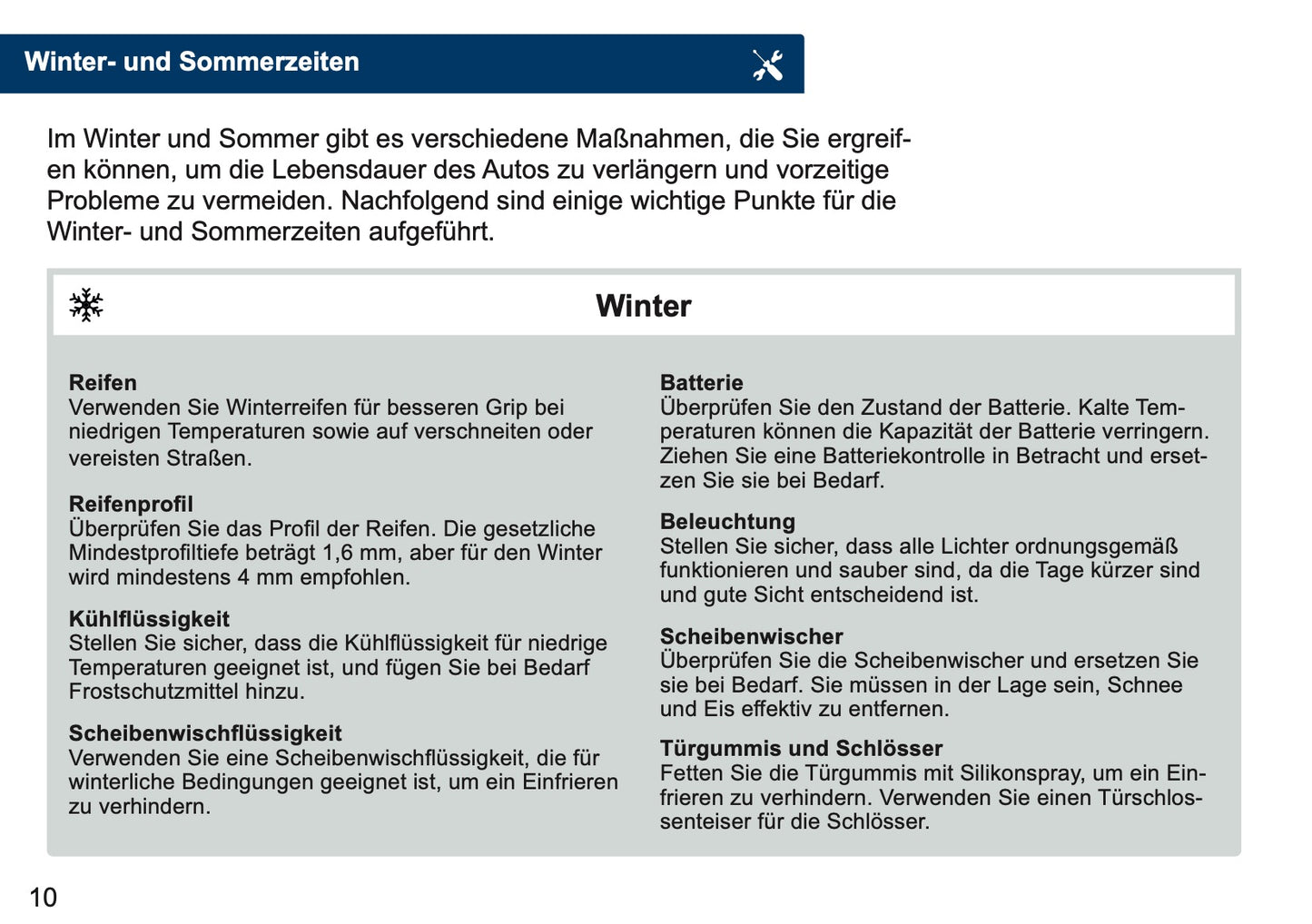 Mini Maintenance Book | German
