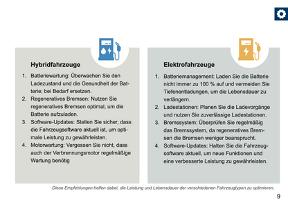 Peugeot Maintenance Book | German