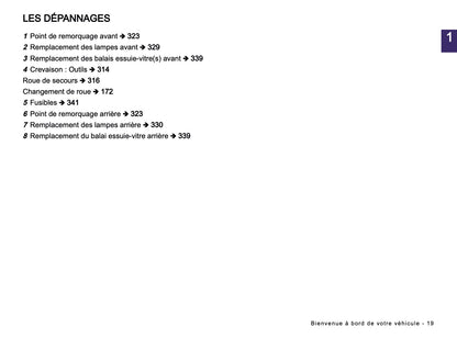 2025-2026 Dacia Sandero/Sandero Stepway Owner's Manual | French