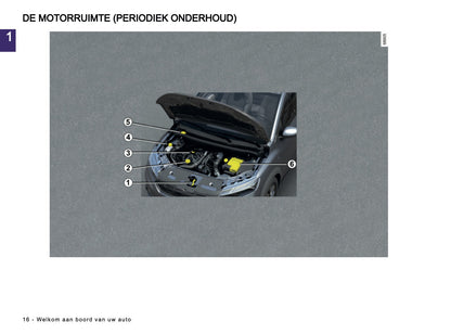 2024-2025 Dacia Sandero/Sandero Stepway Owner's Manual | Dutch