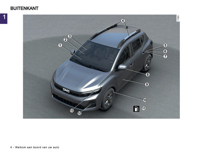 2025-2026 Dacia Sandero/Sandero Stepway Owner's Manual | Dutch