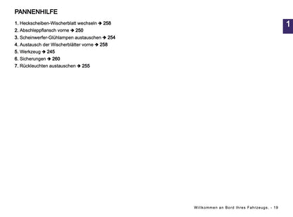 2026 Dacia Spring Electric Owner's Manual | German