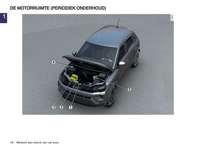 2024-2025 Dacia Spring Electric Owner's Manual | Dutch