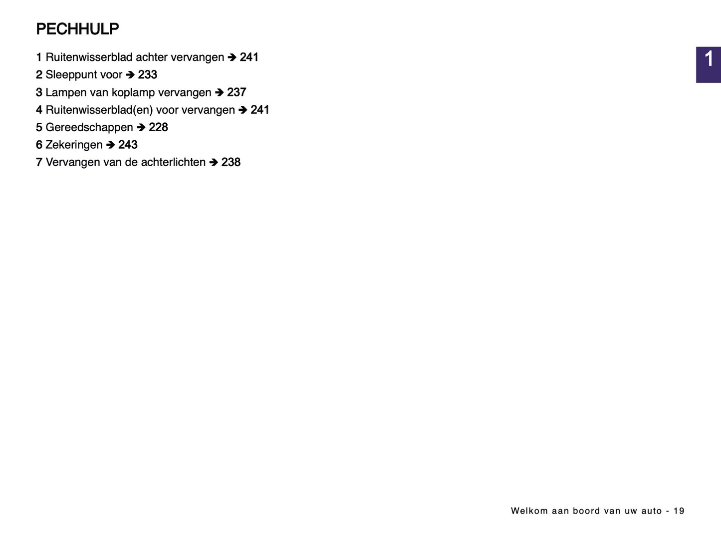 2024-2025 Dacia Spring Electric Owner's Manual | Dutch