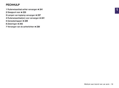 2024-2025 Dacia Spring Electric Owner's Manual | Dutch