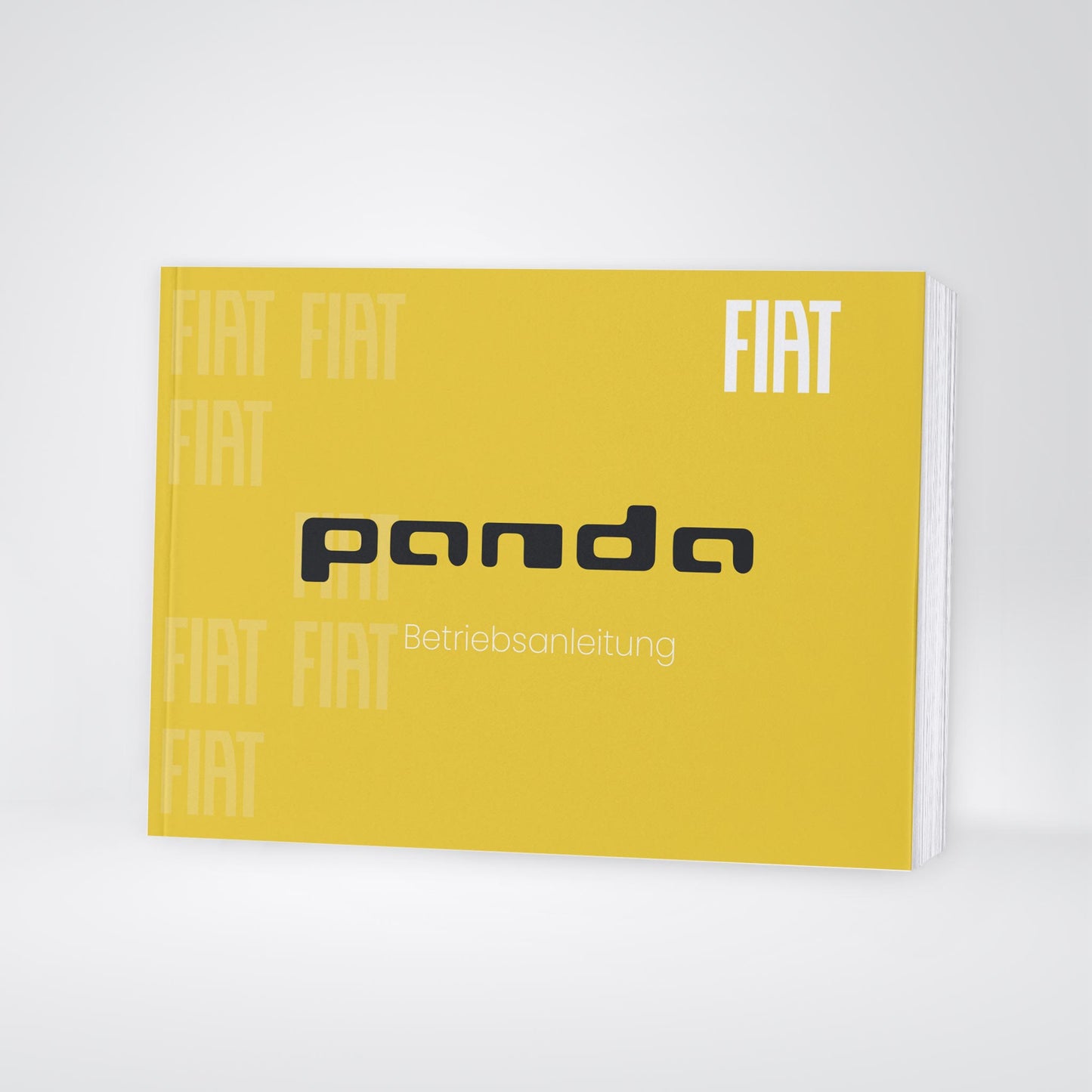 2024-2025 Fiat Panda/Panda Cross Owner's Manual | German