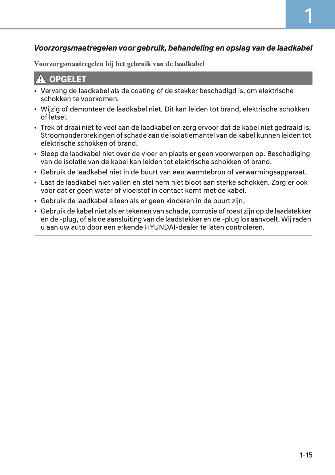 2024-2025 Hyundai Ioniq 5 Owner's Manual | Dutch