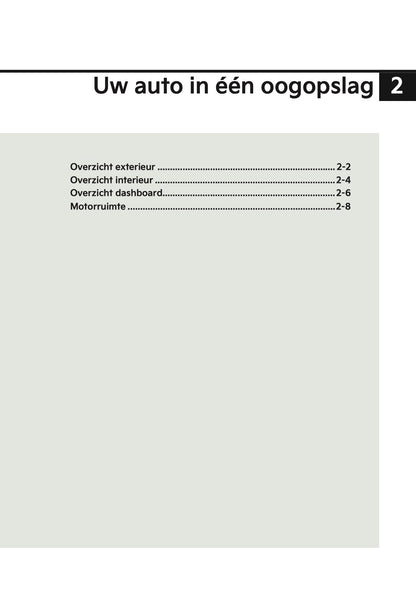 2024-2025 Kia Picanto Owner's Manual | Dutch