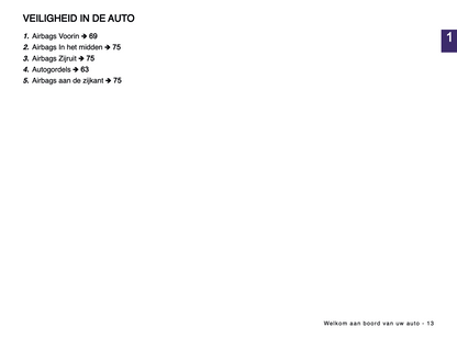 2024-2025 Renault Austral Owner's Manual | Dutch