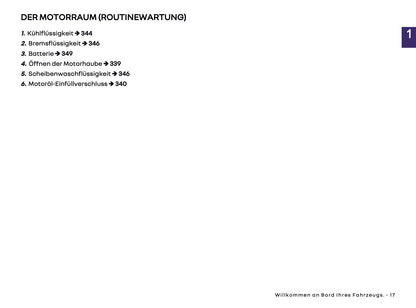 2025-2026 Renault Clio Owner's Manual | German