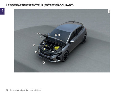 2024-2025 Renault Clio Owner's Manual | French
