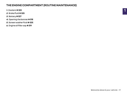 2025 Renault Clio Owner's Manual | English