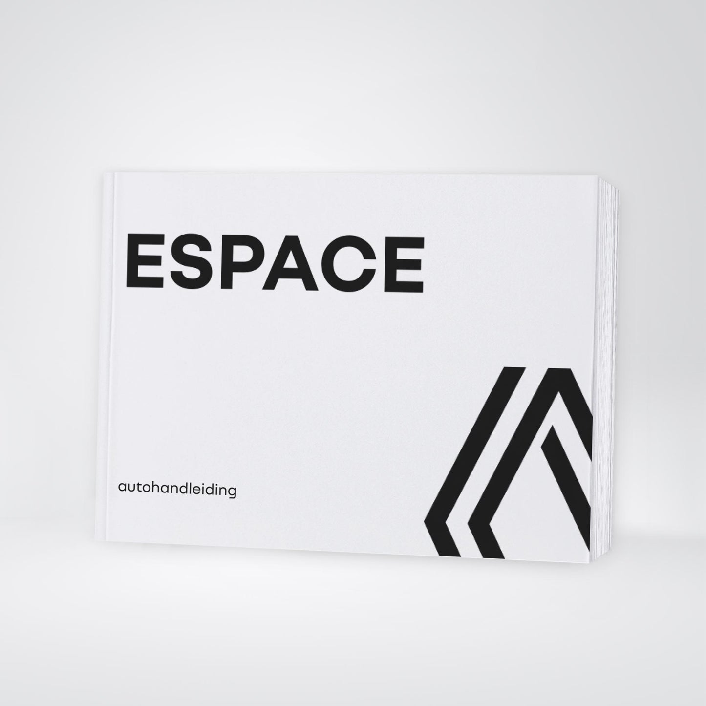 2024-2025 Renault Espace Owner's Manual | Dutch