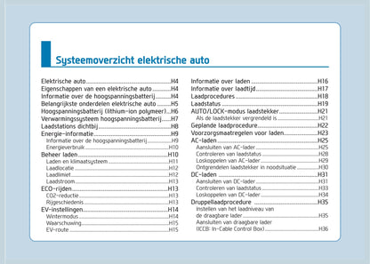 2020 Hyundai Kona Electric Owner's Manual | Dutch