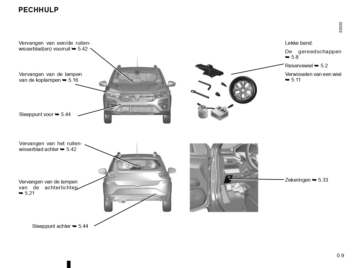 2020-2022 Dacia Sandero/Sandero Stepway Manuel du propriétaire | Néerlandais