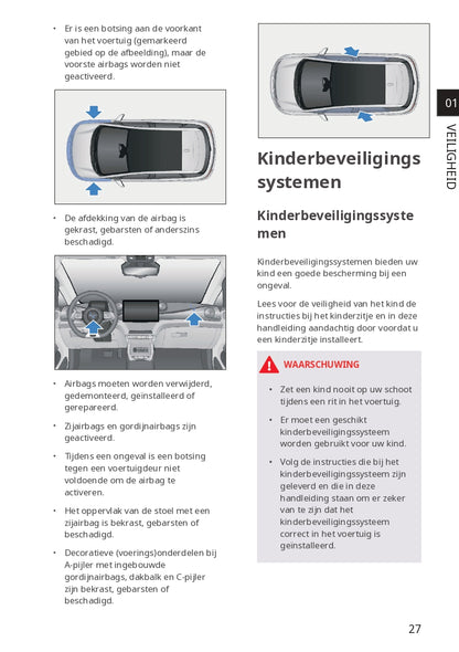 2023-2024 BYD Dolphin Owner's Manual | Dutch