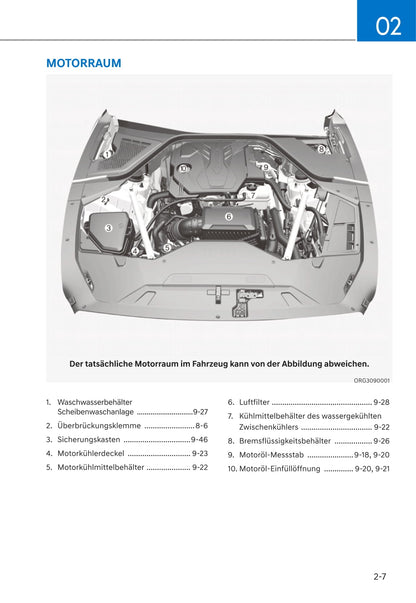 2021 Genesis G80 Owner's Manual | German