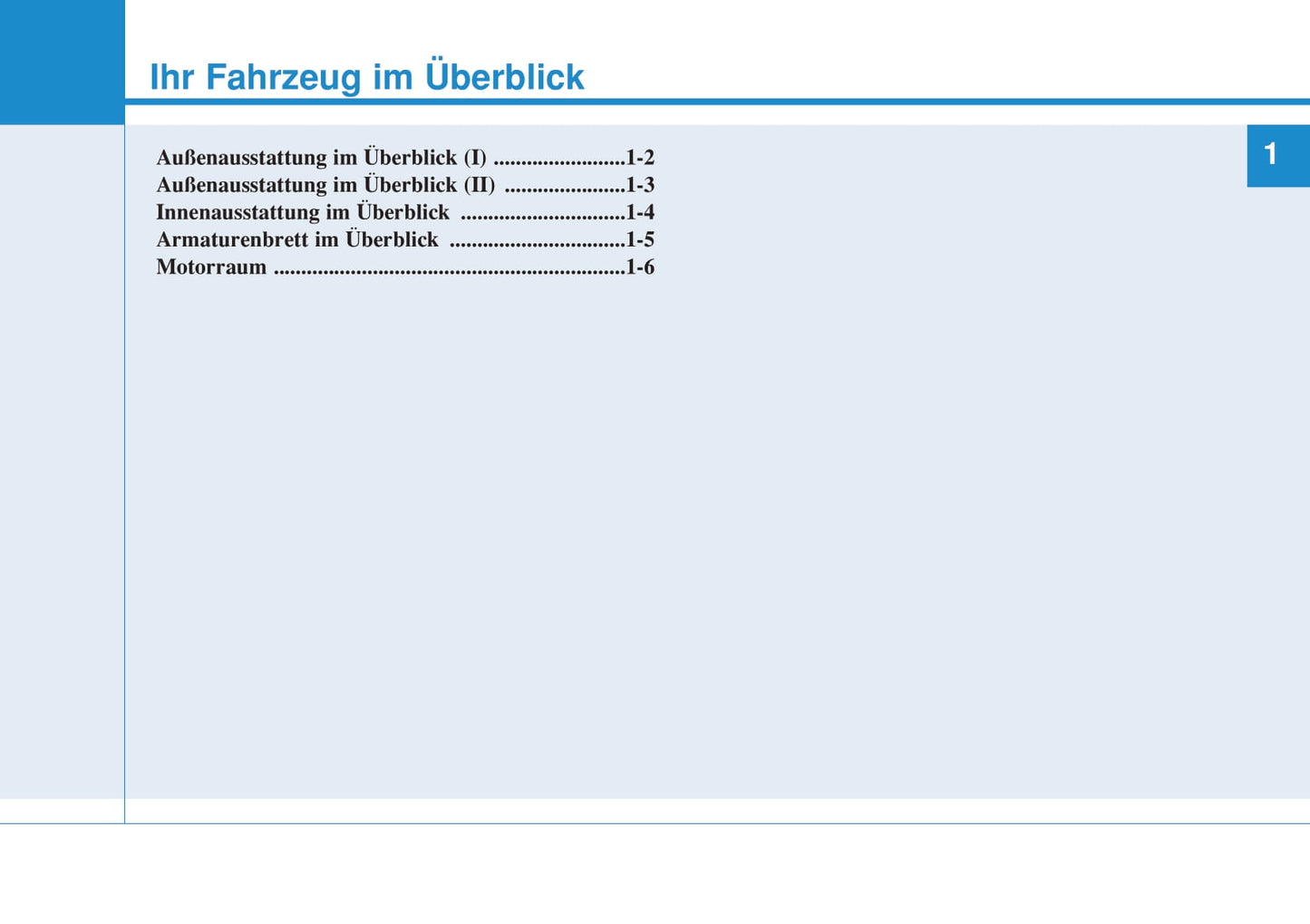 2014-2015 Hyundai i20 Owner's Manual | German