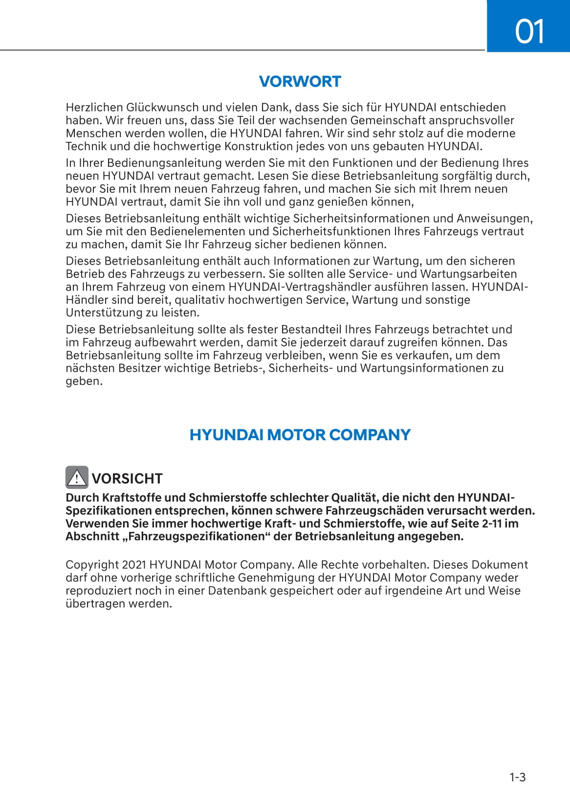 2018-2020 Hyundai Kona Manuel du propriétaire | Allemand
