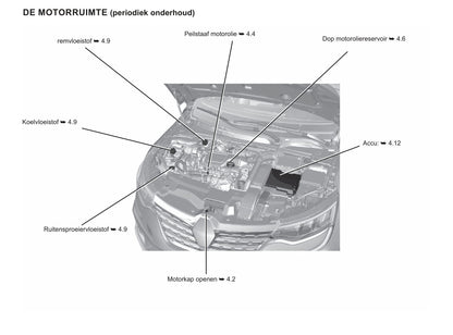 2020-2021 Renault Talisman Manuel du propriétaire | Néerlandais